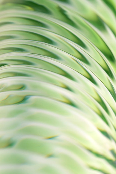 Стеклянный фаллоимитатор со спиралевидным рельефом - 16,5 см. Стеклянный фаллоимитатор со спиралевидным рельефом - 16,5 см.