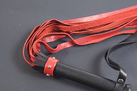 Чёрно-красная маленькая плеть - 45 см. Чёрно-красная маленькая плеть - 45 см.