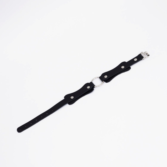 Черный кожаный ошейник с кольцом Черный кожаный ошейник с кольцом