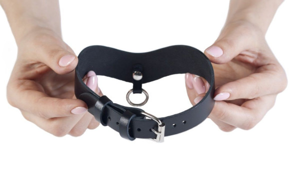 Стильный кожаный ошейник с кольцом для поводка Стильный кожаный ошейник с кольцом для поводка