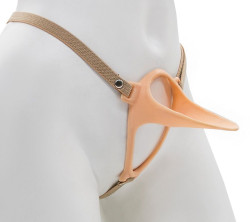 Эректор с фиксацией Эректор с фиксацией