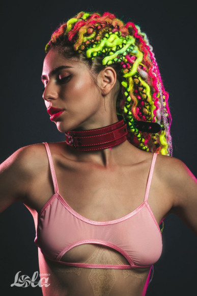 Бордовый ошейник Eccentric Бордовый ошейник Eccentric